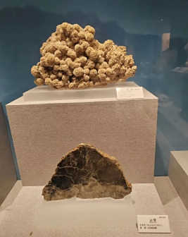 矿石展览