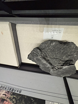 贵州省地质博物馆展品陈列