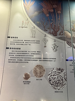 贵州省地质博物馆展厅陈列
