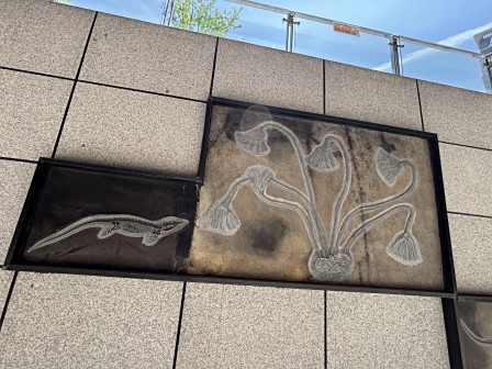 贵州省地质博物馆沿途景观